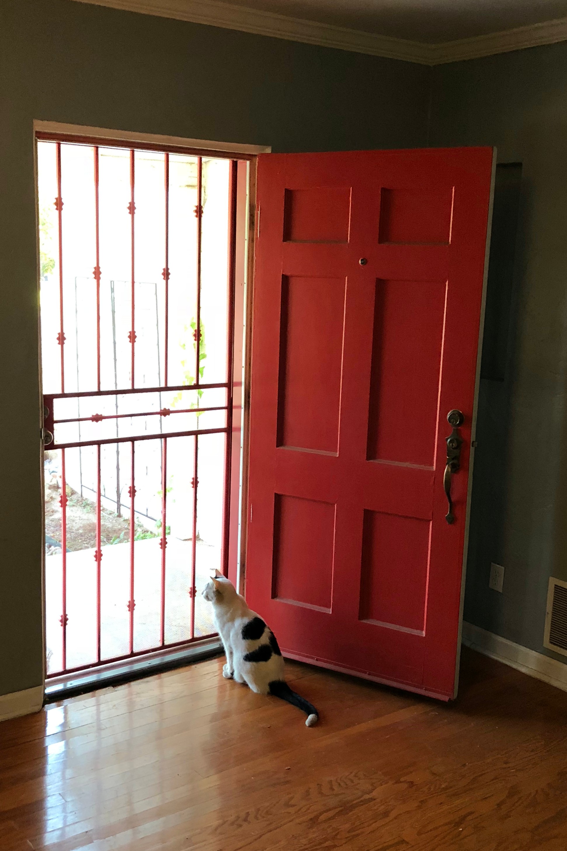 Beyond keeping out bugs, the screen door safeguards Americans' trust in others